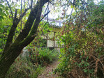 IMG-20240816-092601.jpg