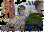 big-je-porte-une-brassiere-de-sport.gif