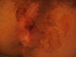 chatteveluePIC_0152.JPG