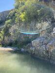 IMG_1330.jpeg