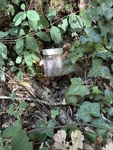 IMG_2658.jpeg