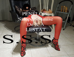 20221213_133110Estampille.jpg
