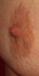 49-Copie.png