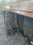 IMG_20200926_152404.jpg