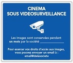 panneau-videosurveillance-cinema.jpg