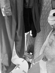 IMG_4299.jpeg