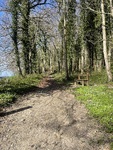 IMG_1068.jpeg