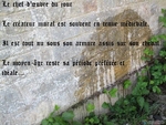 Pisse..au..Mur...jpg