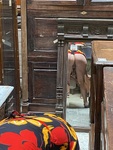 IMG_3979.jpeg
