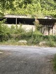 IMG_3410.jpeg