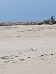 20200501_162615.jpg