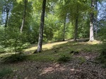 IMG_5843.jpeg