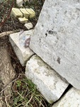 IMG_4835.jpeg