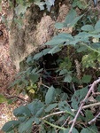 IMG_9355.jpeg