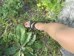 DSCN3912.JPG