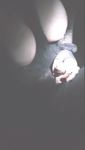 Capture3.JPG