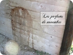 ParfumsdeNovembre.jpg