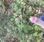 IMG_6823.jpeg