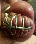 IMG_9268.jpeg