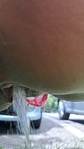 VideoCapture_20240810-094305.jpg