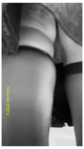bob-img-nb-00593.png