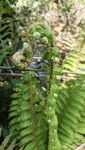 IMG20260426152108.jpg