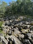 IMG_5377.jpg