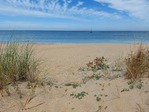 20220905_140331.jpg