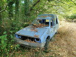 IMG-20240816-092804.jpg