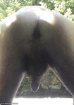 IMG_7192.jpeg