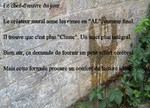 Pipi.contre.le.Mur...jpg