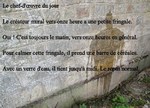 Pipi.contre.le.Mur...jpg