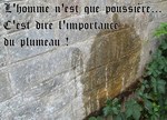 DictonduMercredi-.jpeg