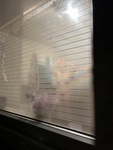 IMG_2012.jpeg