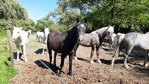 20200517_170205.jpg