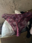 IMG_1404.jpeg