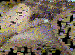 ongle-vernis-chatte.gif
