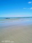 IMG_20240828_122535.jpg