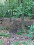 20240928_184156.jpg