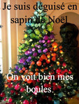 Sapin..de..Noel...jpeg