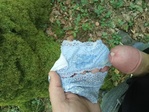 IMG20250513103559.jpg