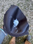 IMG_0507.jpeg