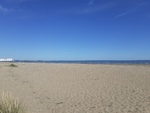 20200722_100320.jpg