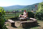 c.082.jpg