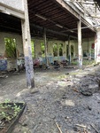 IMG_3420.jpeg