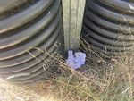IMG_0797.jpeg