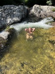 IMG_1058.jpeg