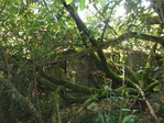 DSCF0297.jpg