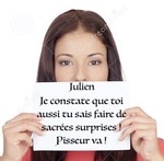 Je suis un vicelard ! - .JPG
