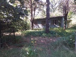 20240806_163933.jpg
